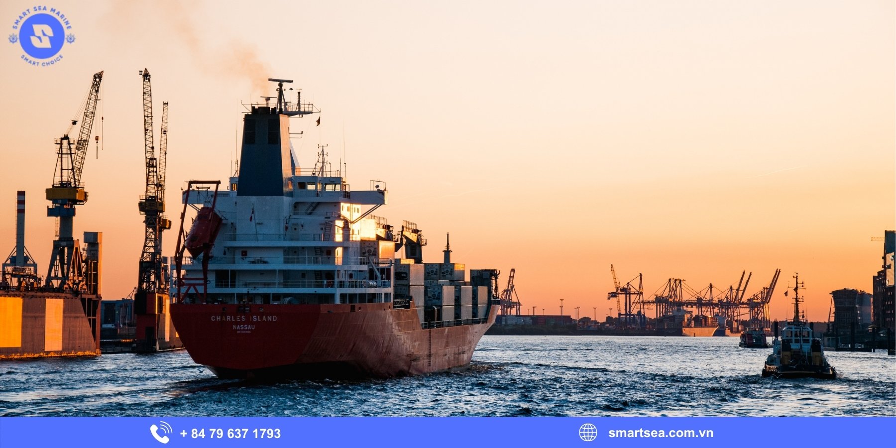 Key Criteria for Choosing a Ship Agent in Vietnam