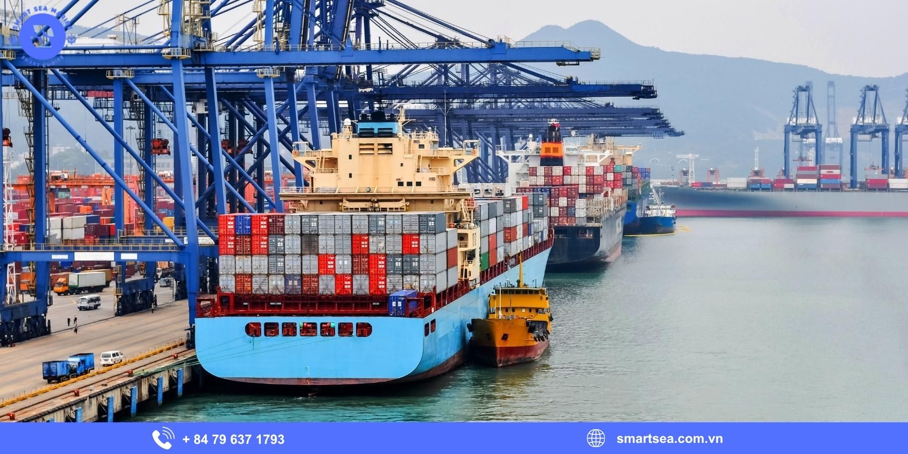 Lợi ích khi sử dụng dịch vụ đại lý tàu biển tại Phú Mỹ 