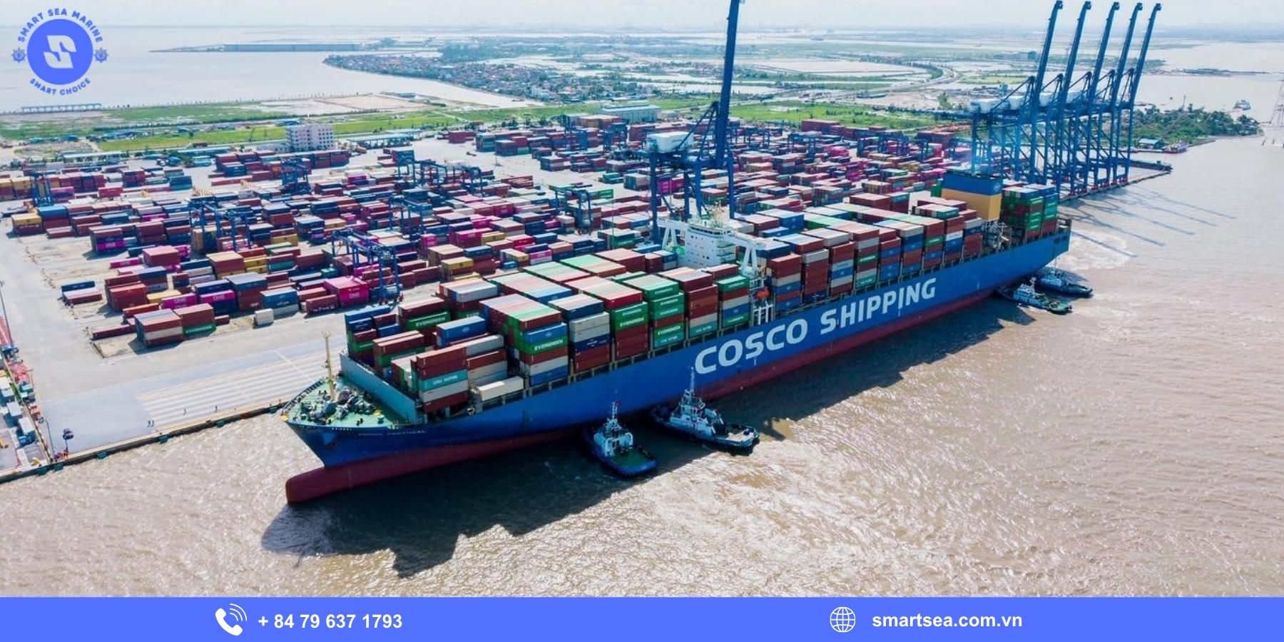 Lợi ích khi sử dụng dịch vụ đại lý tàu biển tại Vũng Tàu 