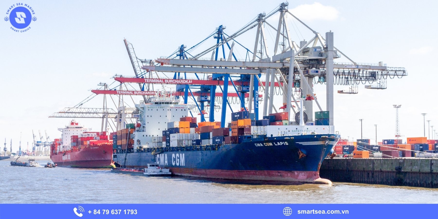Những sai sót cần tránh khi chuẩn bị dịch vụ tàu đến Việt Nam