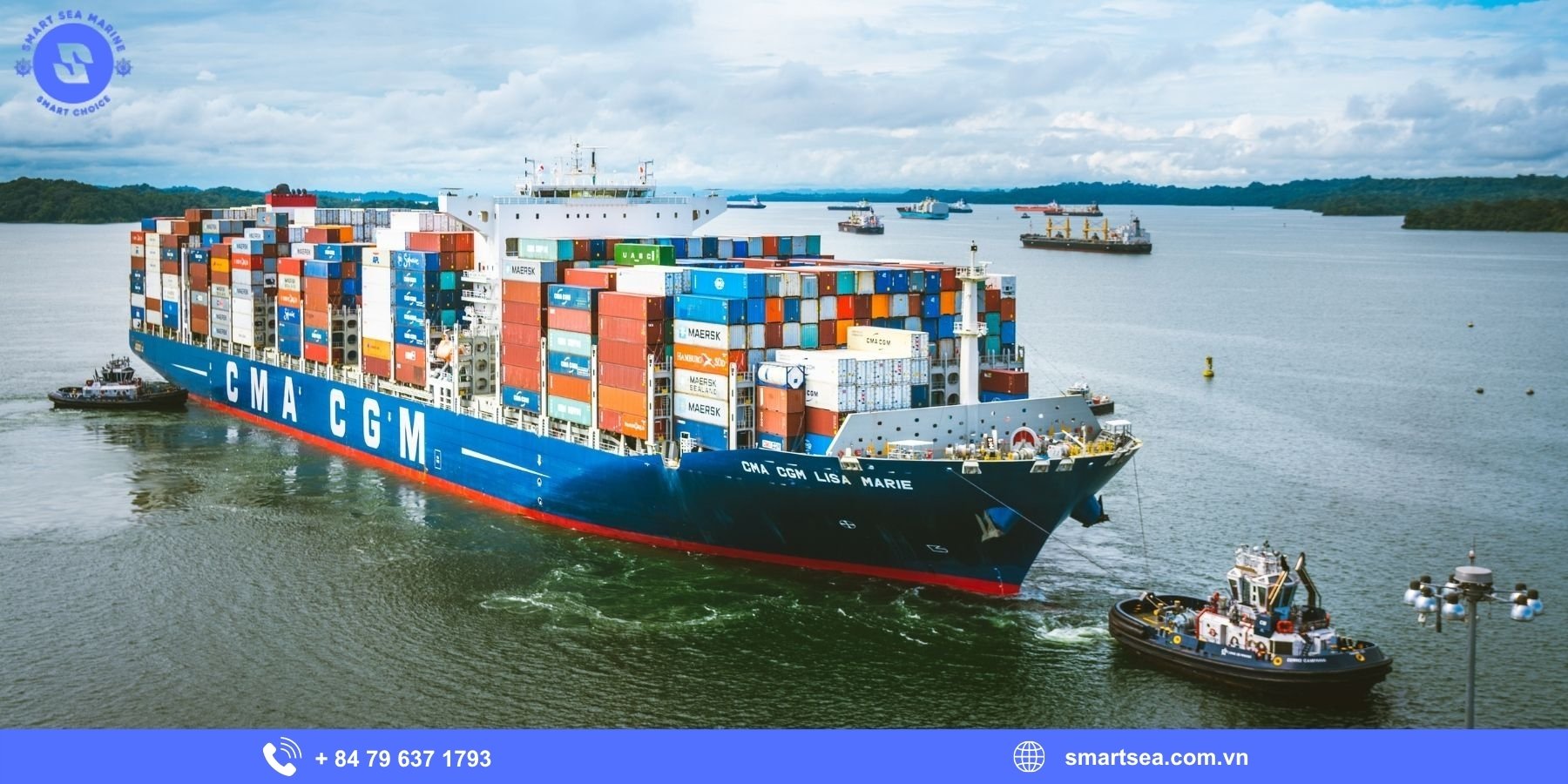 Vai trò của dịch vụ đại lý tàu biển đối với hoạt động hàng hải tại Dung Quất