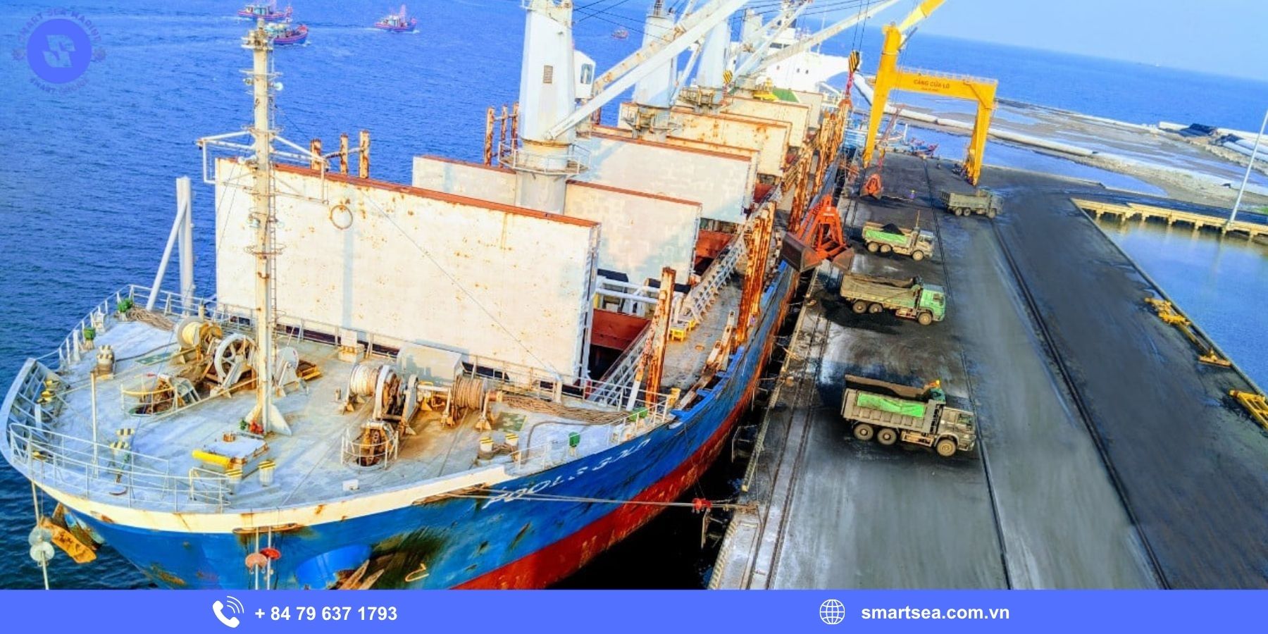 Vì sao nhu cầu sử dụng dịch vụ đại lý tàu biển tại TP.HCM ngày càng tăng?