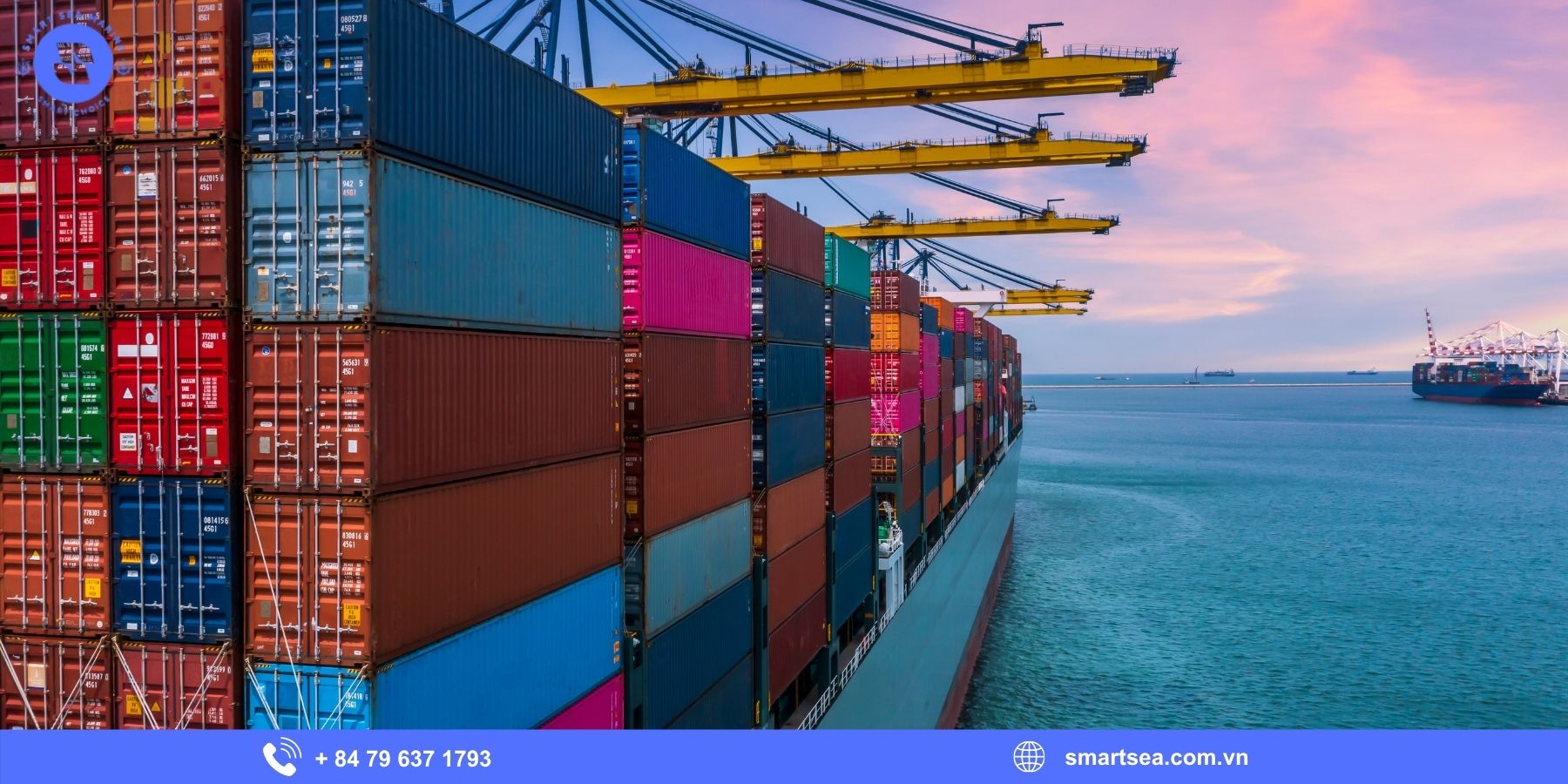 Why Is Choosing the Right Ship Agent in Vietnam Important?